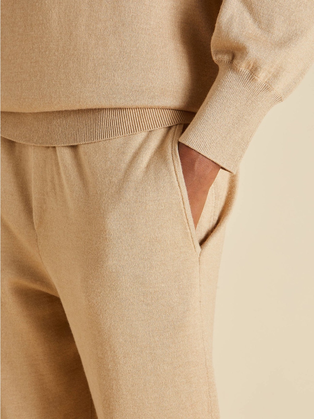 Olivia Von Halle Gia Shanghai Beige Cashmere Silk Jogger Pants — image 3 of 7